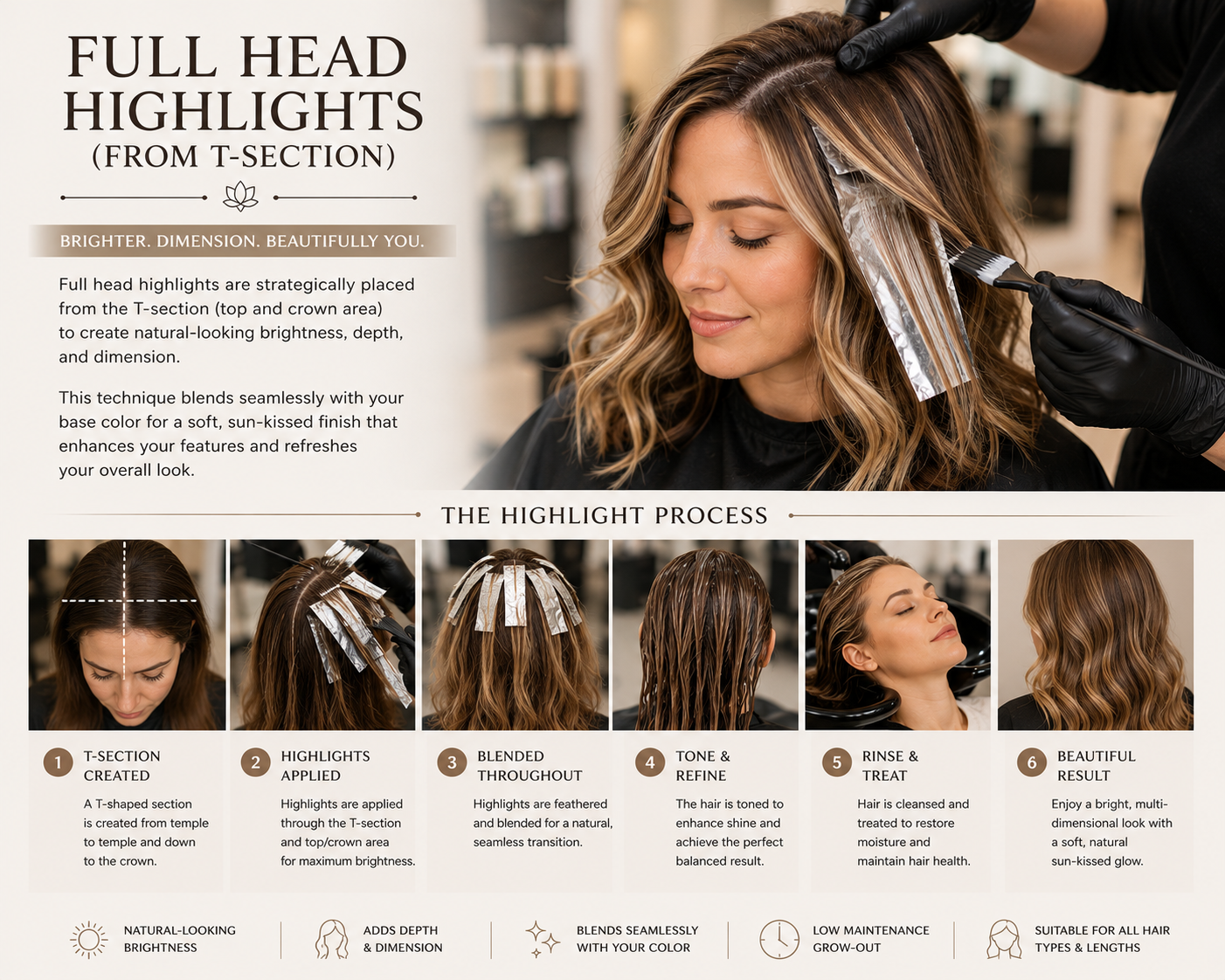 Full Head Highlights (From T-Section)